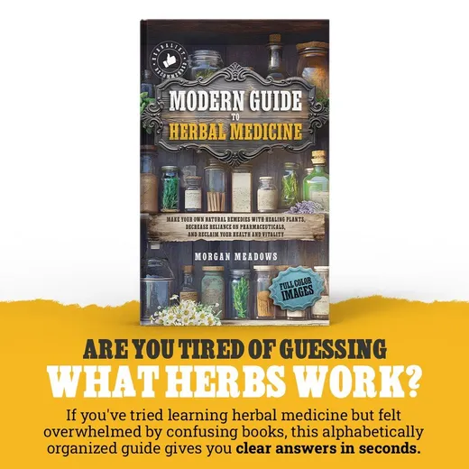 TikTok Shop: Modern Guide to Herbal Medicine
