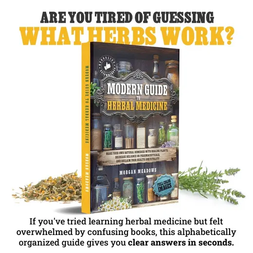 TikTok Shop: Modern Guide to Herbal Medicine